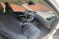 Volvo V40 Cross Country V40 Cross Country D3 Business Plus Bianco - thumbnail 11