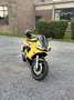 Yamaha YZF-R6 Hp Corse Jaune - thumbnail 1