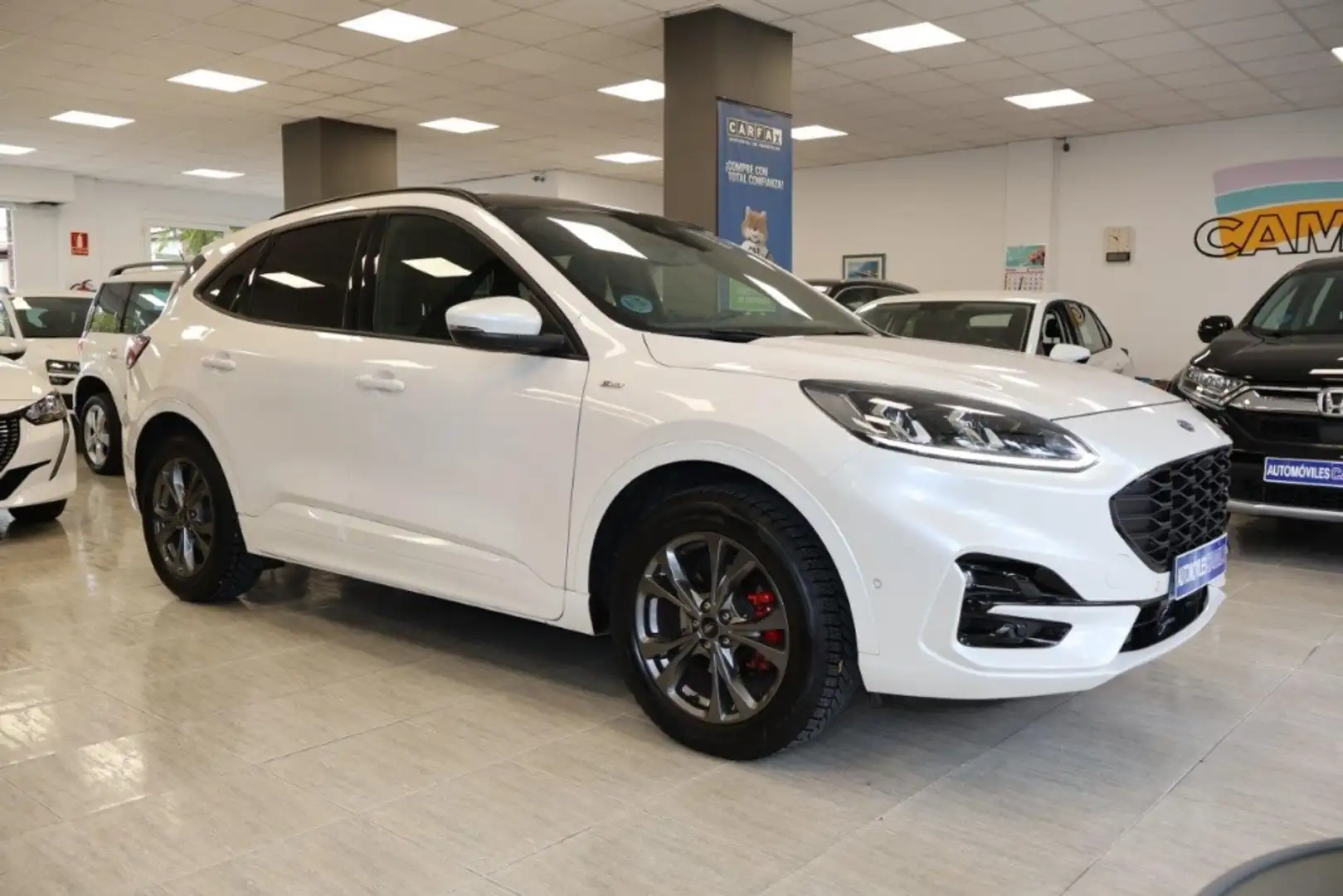 Ford Kuga 2.0 EcoBlue ST-Line X AWD 190 Aut. Weiß - 1