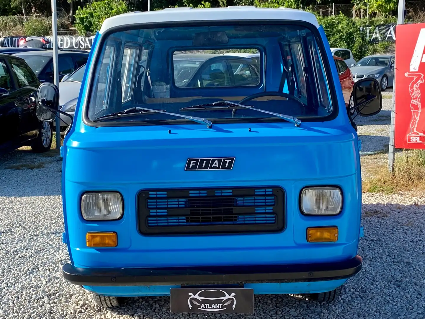 Fiat 900 900 T Pulmino Panorama Albastru - 2