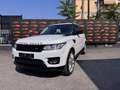 Land Rover Range Rover 3.0 tdV6 HSE aut. PANO CAMERA PRIVACY Bianco - thumbnail 1