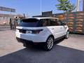 Land Rover Range Rover 3.0 tdV6 HSE aut. PANO CAMERA PRIVACY Bianco - thumbnail 7