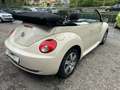Volkswagen New Beetle Cabrio 1.6 FL Beżowy - thumbnail 5