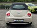 Volkswagen New Beetle Cabrio 1.6 FL Beżowy - thumbnail 6