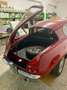 Fiat 1100 STANGUELLINI 1100/103 TV BERTONE Rot - thumbnail 12