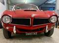 Fiat 1100 STANGUELLINI 1100/103 TV BERTONE Rot - thumbnail 14