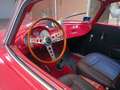 Fiat 1100 STANGUELLINI 1100/103 TV BERTONE Rot - thumbnail 4