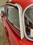 Fiat 1100 STANGUELLINI 1100/103 TV BERTONE Rot - thumbnail 15
