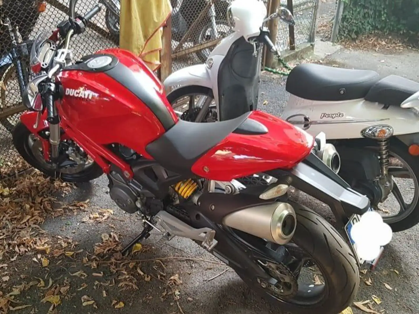 Ducati Monster 696 Rouge - 1