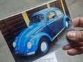Volkswagen Maggiolino Blu/Azzurro - thumbnail 5