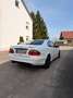 Mercedes-Benz CLK 430 CLK Cabrio 430 Elegance 7500€ ANGEBOT 2 TAGE Weiß - thumbnail 7