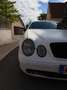 Mercedes-Benz CLK 430 CLK Cabrio 430 Elegance 7500€ Weiß - thumbnail 5