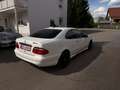 Mercedes-Benz CLK 430 CLK Cabrio 430 Elegance 7500€ Weiß - thumbnail 9