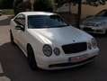 Mercedes-Benz CLK 430 CLK Cabrio 430 Elegance 7500€ Weiß - thumbnail 4