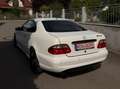Mercedes-Benz CLK 430 CLK Cabrio 430 Elegance 7500€ Weiß - thumbnail 11
