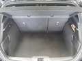 Ford Focus 1.0 Ecoboost MHEV ST-Line X 155 Aut. Negro - thumbnail 14