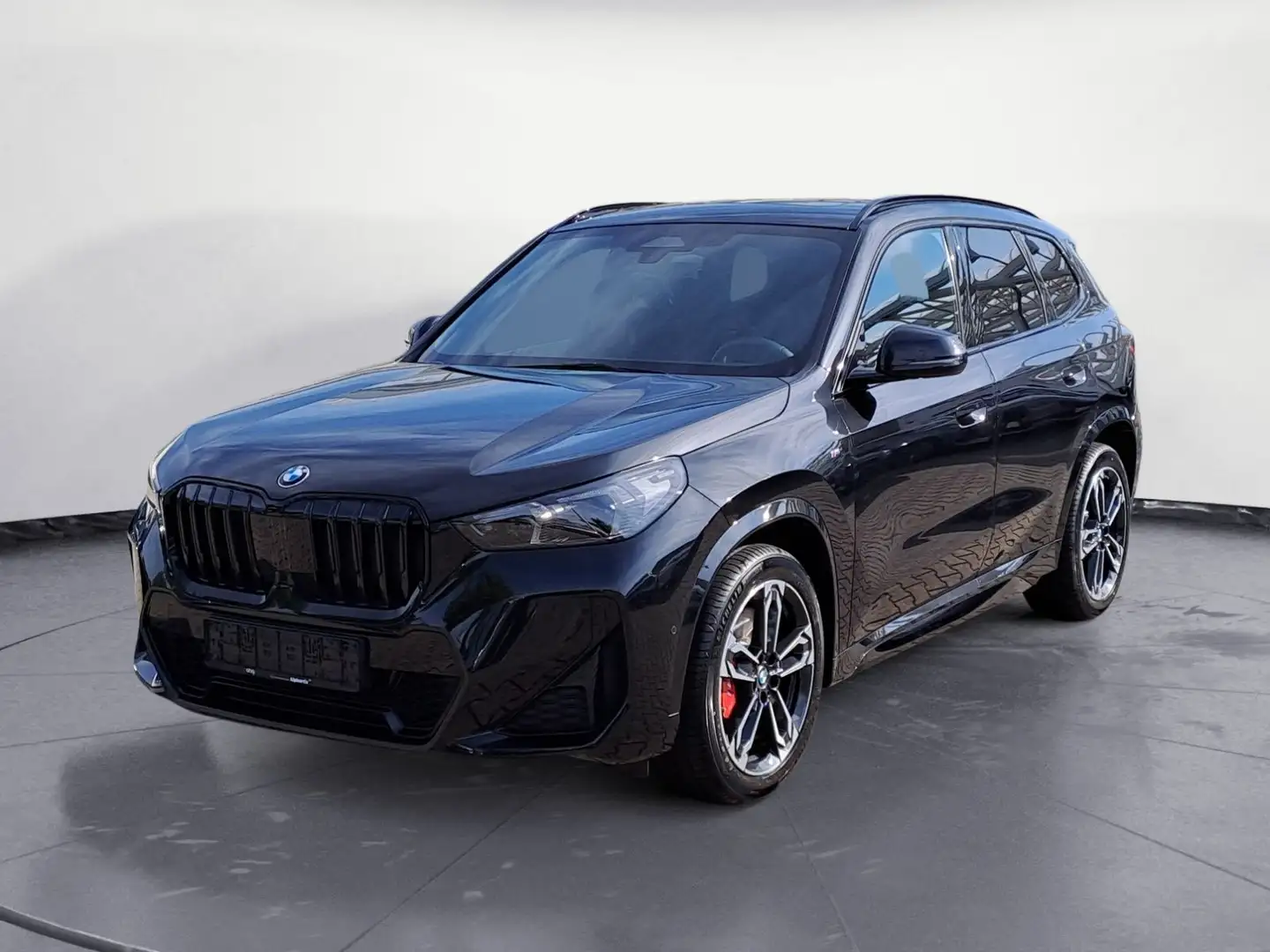 BMW X1 sDrive20i M Sportpaket Panorama el. Sitze Har Negro - 2