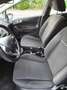 Ford Fiesta Fiesta 5p 1.6 tdci 95cv Bianco - thumbnail 9