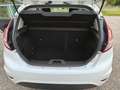 Ford Fiesta Fiesta 5p 1.6 tdci 95cv Bianco - thumbnail 3