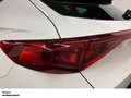 CUPRA Formentor VZ 2.0 TSI DSG 4Drive LED NAV PAN AHK Weiß - thumbnail 15