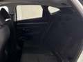 Hyundai TUCSON 1.6 TGDI 169kW HEV Tecno Sky Auto Bianco - thumbnail 12