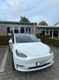 Tesla Model Y Model Y Performance Dual Motor AWD - thumbnail 1