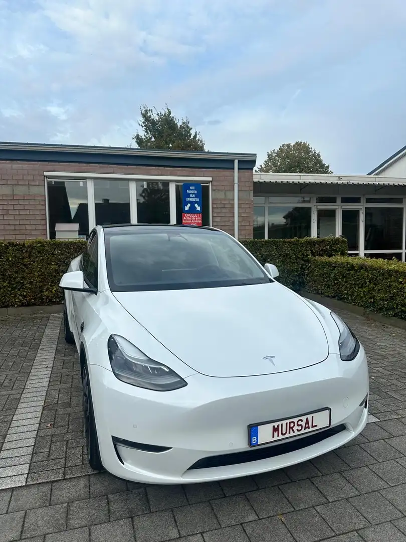 Tesla Model Y Model Y Performance Dual Motor AWD - 1