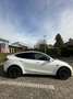 Tesla Model Y Model Y Performance Dual Motor AWD - thumbnail 15