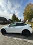 Tesla Model Y Model Y Performance Dual Motor AWD - thumbnail 14