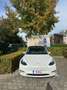 Tesla Model Y Model Y Performance Dual Motor AWD - thumbnail 19