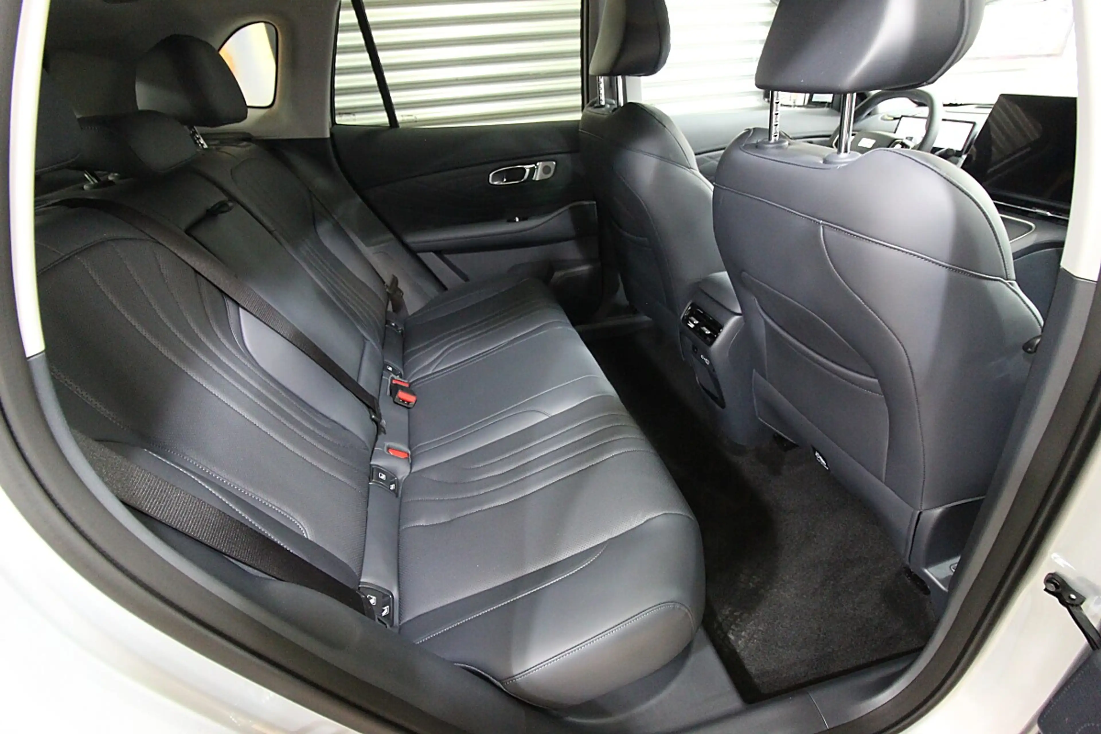 Geely EM-i Max+ 29,8kWh-Batterie — photo 6