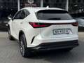 Lexus NX 450h+ AWD Luxury Line Plus | 360 Camera, Leer, Groot sch Blanc - thumbnail 7
