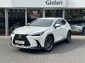 Lexus NX 450h+ AWD Luxury Line Plus | 360 Camera, Leer, Groot sch Blanc - thumbnail 1