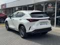 Lexus NX 450h+ AWD Luxury Line Plus | 360 Camera, Leer, Groot sch Blanc - thumbnail 2