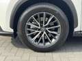 Lexus NX 450h+ AWD Luxury Line Plus | 360 Camera, Leer, Groot sch Blanc - thumbnail 9