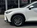 Lexus NX 450h+ AWD Luxury Line Plus | 360 Camera, Leer, Groot sch Blanc - thumbnail 8