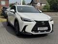 Lexus NX 450h+ AWD Luxury Line Plus | 360 Camera, Leer, Groot sch Blanc - thumbnail 5