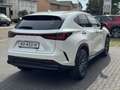 Lexus NX 450h+ AWD Luxury Line Plus | 360 Camera, Leer, Groot sch Blanc - thumbnail 6