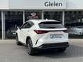Lexus NX 450h+ AWD Luxury Line Plus | 360 Camera, Leer, Groot sch Blanc - thumbnail 35