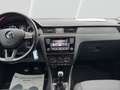Skoda Rapid/Spaceback 1.0 TSI Cool Edition Spaceback Groen - thumbnail 15