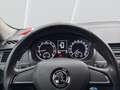 Skoda Rapid/Spaceback 1.0 TSI Cool Edition Spaceback Groen - thumbnail 13