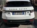 Land Rover Range Rover Evoque 5p 2.2 sd4 Pure Tech Pack 190cv auto 9m Bianco - thumbnail 4