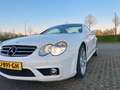 Mercedes-Benz SL 55 AMG F1 package | full service history | Top condition Biały - thumbnail 7