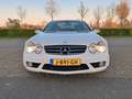 Mercedes-Benz SL 55 AMG F1 package | full service history | Top condition Biały - thumbnail 11
