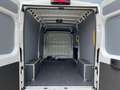 Toyota Proace Max 35H 2.2 BlueHDi 180CV PLM-TM Furgone Bianco - thumbnail 14