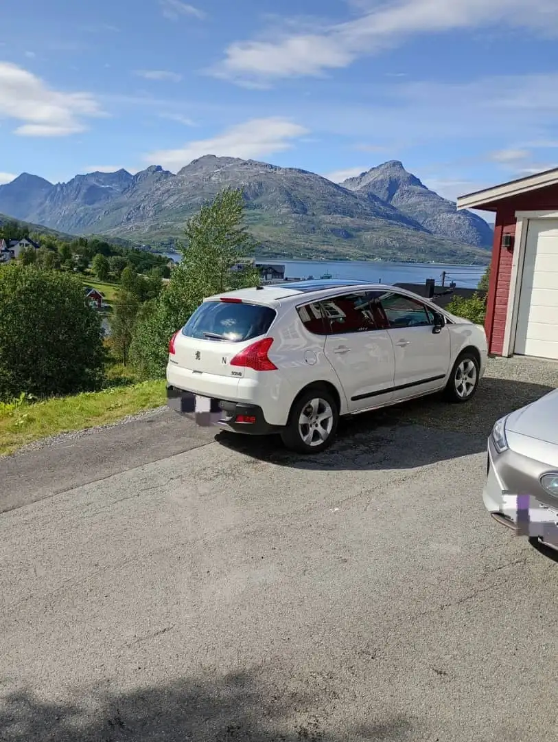 Peugeot 3008 3008 1.6 HDI 110 FAP BUSINESS PACK VU - 1