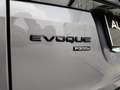 Land Rover Range Rover Evoque 2.0 I4 300 CV AWD Aut S PHEV Grigio - thumbnail 6