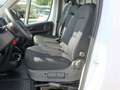 Opel Movano Movano Diesel (3,3t) L2H2 Cargo Plus Paket/33% Nac Weiß - thumbnail 7