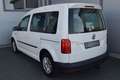 Volkswagen Caddy Kombi 2,0 TDI AHK / NETTO: 14.566 € Weiß - thumbnail 4