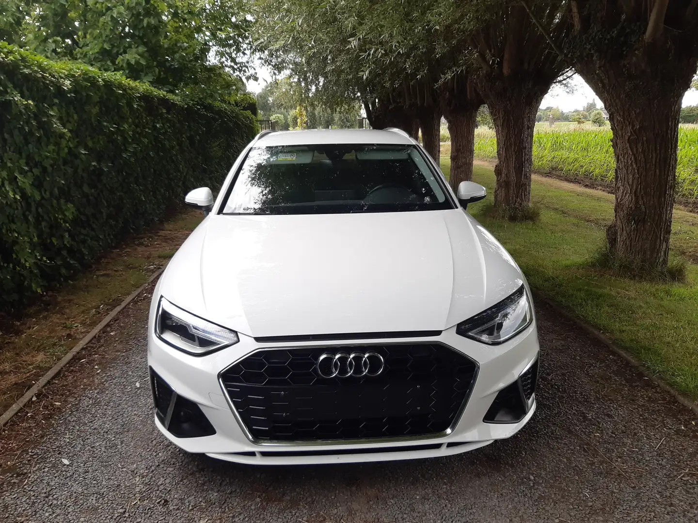 Audi A4 Avant 35 TFSI S line tronic Blanc - 2